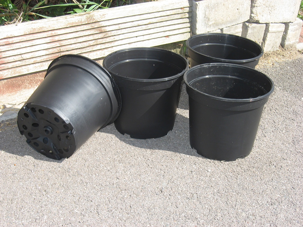 10 Creative Ideas for DIY Plant Pots